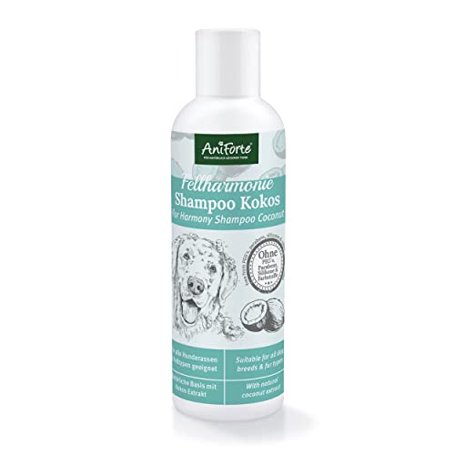 AniForte Fellharmonie Hundeshampoo mit Kokosöl & Aloe Vera 200ml – Pflegeshampoo für Hunde, Vitale Haut, Fellglanz, Kämmbarkeit, natürliche Inhaltsstoffe