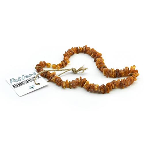 PetLove Bernsteinkette Hund • 100% Baltischer Bernstein • Halsband für Hunde & Katze • Länge: 50cm