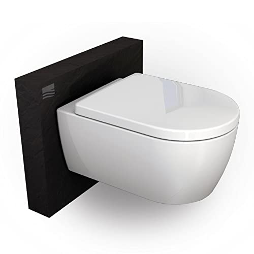 Wand-WC mit Absenkautomatik und Nano-Beschichtung NT2019, Sanitärkeramik Toilette mit abnehmbarem WC-Sitz, Tiefspülendes Hänge-WC mit Befestigungsmaterial, D-Form