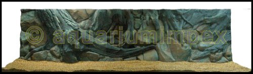 3D Rückwand 200x60 Aquariumrückwand Amazonas