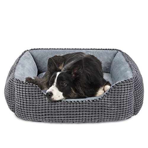 JOEJOY Hundebett Waschbar, Hundekorb Flauschig, Hundebett Mittelgroße und Grosse Hunde, Plüsch Hundebetten, rutschfeste Hundekörbchen, 76x61x23cm, Haustierbett für Mittlere und Große Hunde und Katzen