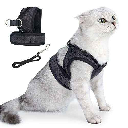 HEYWEAN Katzengeschirr mit Leine ausbruchsicher Katzengeschirr für kleine Katzen Geschirrset mit Katzen Leine Cat Harness Katzenleine mit Geschirr für Katzen kleinen Hund verstellbar Katzenweste