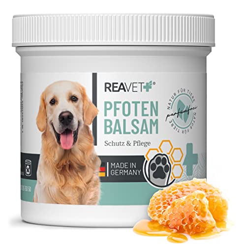 ReaVET Pfotenbalsam Hund 120ml für weiche Hundepfoten - Natürliche Hunde Pflege mit Sheabutter, Kokosöl & Bienenwachs, Pfotenpflege Katze, Pfotenschutz Creme, Zubehör Winter & Sommer