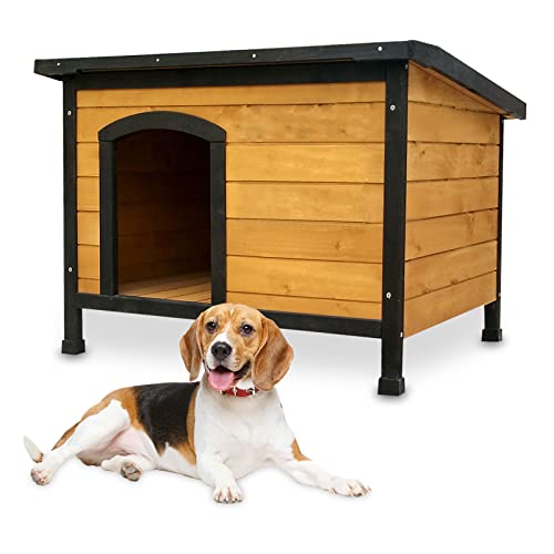 zooprinz wetterfeste Hundehütte Rex - aus massivem Holz und Dach zum Öffnen - perfekt für draußen - mit umweltfreundlicher Farbe gestrichen - 3 Größen zur Wahl (Braun, Größe L)
