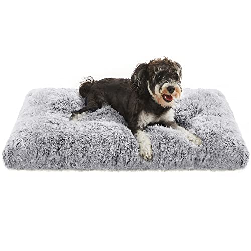 FEANDREA Hundebett, Hundekissen, Flauschige Hundematte, Langer Plüsch, 80 x 50 cm, weiche Polsterung, maschinenwaschbar, Hundekorb, multifunktional, tragbar, hellgrau PGW201G01