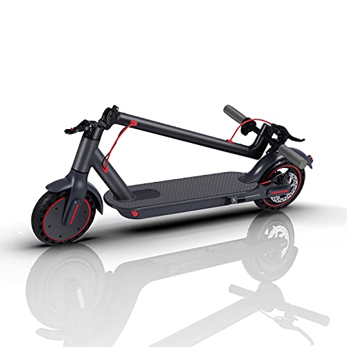 LuvTour Electric Scooter Faltbarer E-Scooter aus Luftfahrtaluminium App Anbindung mit Sperrfunktion, max. Belastung 100kg, LED Anzeige 10,4 Ah Li-Ion Akku bis zu 30km Reichweite(Nein ABE)