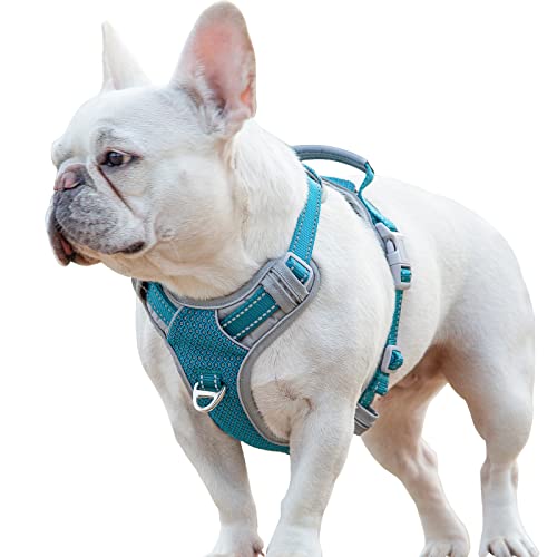 BELPRO Hundegeschirr No Pull, Front-Clip-Geschirr für kleine Hunde, Ganzkörper-reflektierende Haustier Weste Geschirr mit Griff, 2 Metall-D-Ring & erweiterte Brust-Pad für die Ausbildung blau S