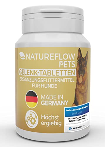 Gelenktabletten Hund - TESTSIEGER Made in Germany Gelenktabletten für Hunde mit Grünlippmuschel Hund, MSM und Teufelskralle - Keine Kapseln, hohe Akzeptanz beim Hund - 100 Stück für bis zu 6 Monate