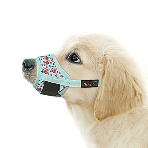 HEELE Hund Maulkorb, Maulkörb für Hunde, Weiche Nylon Drucken Maulkorb Air Mesh Atmungsaktiv Einstellbar Schleife Muster Haustiere Maulkörbe für Kleine Mittlere Große Hunde, Cyan Blume, M