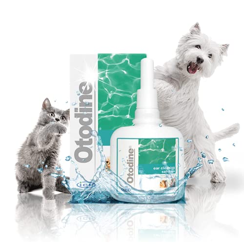 ICF Otodine Hundeohrtropfen zur Ohrreinigung - Antibakterieller & antimykotischer Ohrreiniger für Hunde und Katzen - Enthält Chlorhexidin - Juckreizlinderung - Ohrinfektionen behandeln - 100ml