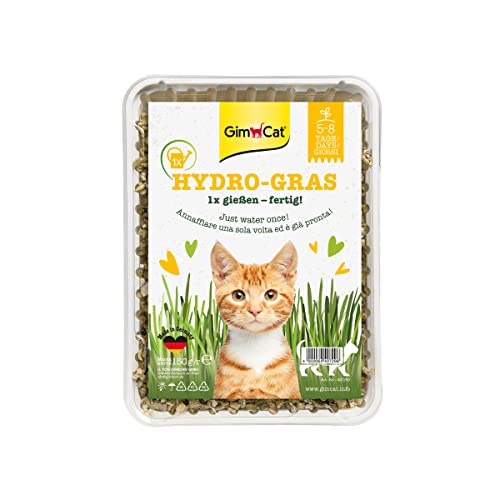 GimCat Hydro-Gras - Frisches Katzengras aus kontrolliertem Feldanbau in nur 5 bis 8 Tagen - 1 Schale (1 x 150 g)