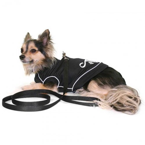 Hundesoftgeschirr mit Leine schwarz mit Reflektorstreifen XS von Theo