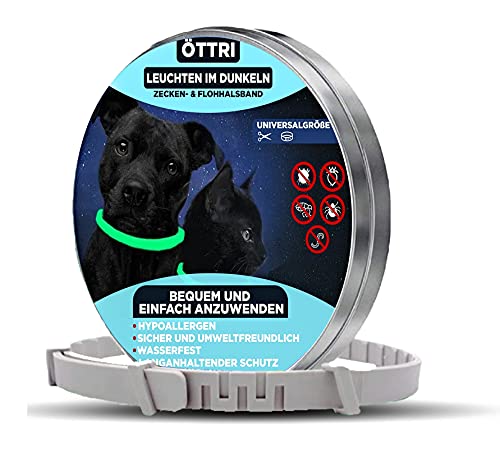 Zeckenhalsband für Hunde und Katzen | Leuchtendes Präventionshalsband gegen Parasiten mit bis zu 8-Monatigen Schutz | Fluoreszierendes Halsband universell auf Jede Größe verstellbar