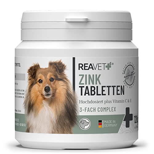 ReaVET Zink Tabletten für Hunde 120 Stück – Hochdosiert mit Vitamin C & E – Zinktabletten Plus Vitamine bei trockener Haut, Haarausfall, Zink Hund für Krallen & Fell
