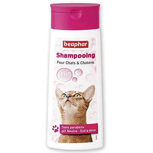 beaphar Extra mildes Blasenshampoo für Katzen – enthält Macadamia-Öl – reinigt und befeuchtet das Fell – Macht das Haar weich – pH-neutral – ohne Parben – 250 ml