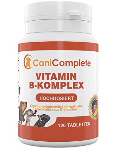 CaniComplete Vitamin B-Komplex für Hunde, Katzen: B1, B2, B3, B5, B6, B9, B12, K3, Calcium, Folsäure. Unterstützt wichtige Nervenfunktionen.120 Stück (4 Monatspackung)