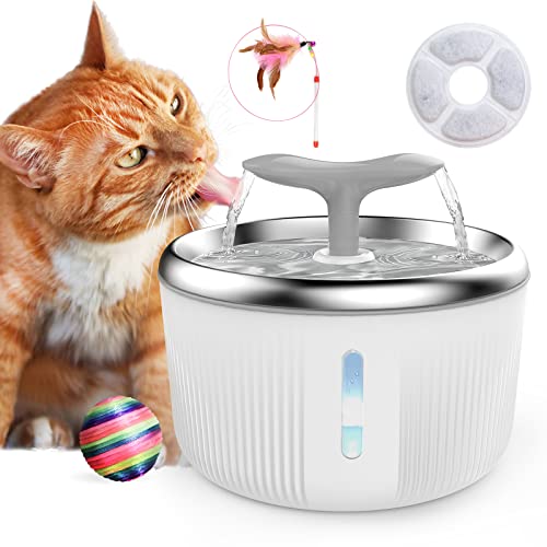 PewinGo Katzen Trinkbrunnen Edelstahl, Trinkbrunnen für Hunde Haustier Katzenbrunne rutschfest Automatisch Katze Wasserspender mit LED Nachtlicht, 1 Aktivkohlefilter - 2L