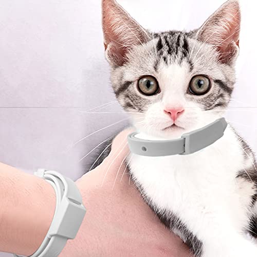 5 Stück Katzen- und Hundeflohhalsbänder mit natürlichen ätherischen Ölen-verstellbarer Schnitt Katzenpflegehalsbänder-geeignet für alle Katzen und Hunde-wasserdichte Flohhalsbänder-gültig für 100 Tage