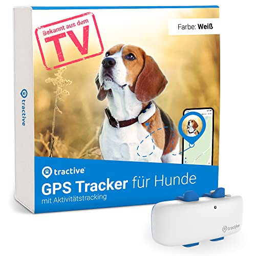Tractive GPS Tracker für Hunde. Empfohlen von Martin Rütter. Live-Ortung. Unbegrenzte Reichweite. Bekannt aus dem TV. Passt auf alle Halsbänder. (Weiß)