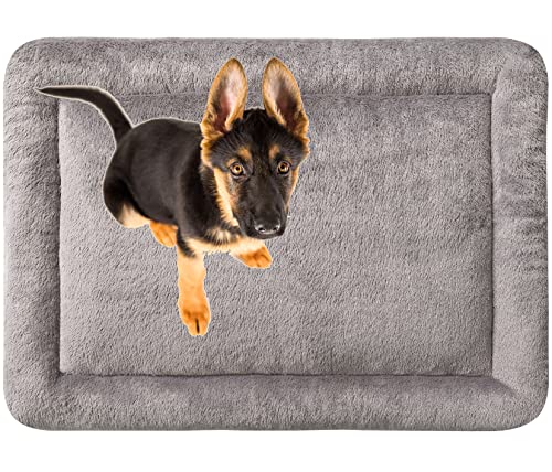 MyBestBuddy Hundekissen Komfort grau 80x60 cm L, allergikerfreundlich (100% Polyester) - 40°C waschbar mit flauschigem Stoffbezug - Hundematte BZW. Hundebett für mittelgroße Hunde, 80 x 60 cm