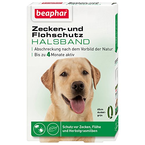 beaphar Zecken- & Flohschutz Halsband Hund | Schutz vor Zecken Flöhen | Wirkt 4 Monate | Hundehalsband mit frischem Duft | Farbe: Grün | Länge: 65cm