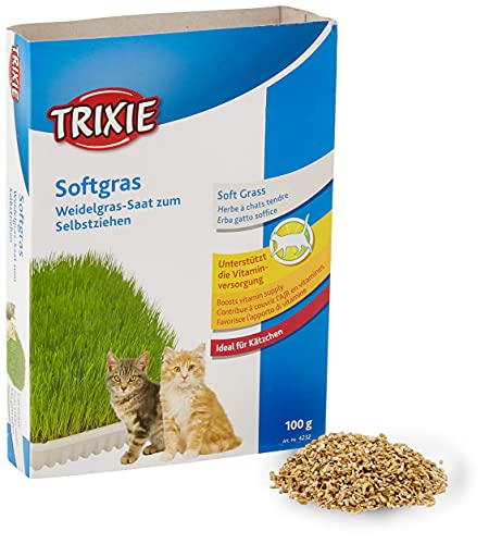 Trixie Katzengras Schale, ideal für Kätzchen, ca. 100 g/Schale