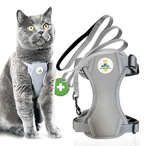 MC-Royal® Premium Katzengeschirr [inkl. Leine für Katzen] - Größenverstellbares Geschirrset für Katzen mit Leine - Katzengeschirr - Cat Harness - ausbruchsicheres Katzengeschirr