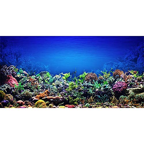 AWERT 120 x 50 cm Aquarium-Hintergrund Koralle Unterwasserwelt Aquarium-Hintergrund aus strapazierfähigem Vinyl (kein Aufkleber)