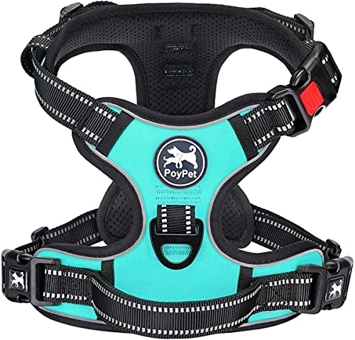 PoyPet Keine Pull Hundegeschirr Front Reflektierende Pet Weste für Hunde mit Einfache Kontrolle Griff und Rückseite perfekt für den täglichen Training, Walken, Running(Mint Blau,S)