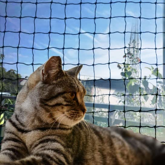 Tatamiyya Katzennetz für Balkon, Katzennetz Drahtverstärkt 2x3m, Biss- Und Reißfest, UV- Und Witterungsbeständig, Zum Balkonen, ​Terrassen Und Fenstern(Schwarz)