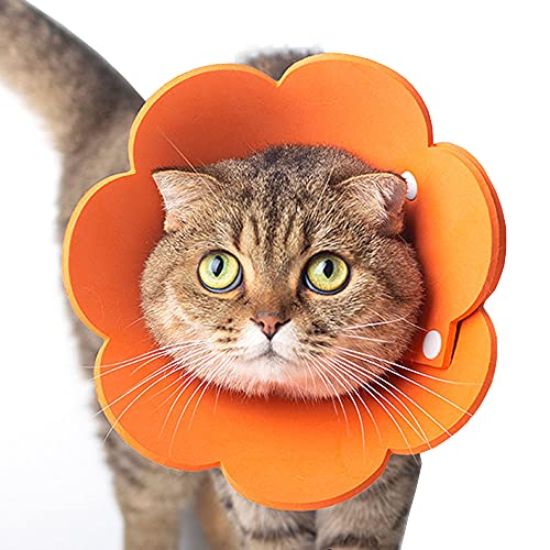 Tecatty Haustier Halskrausen Antilecker Halskragenkatze Verstellbar von 14-35 cm Leichtgewicht Schutzkragen Elizabethan Halsband Halskrausen für Katzen (M, Orange)