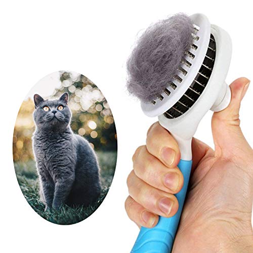 Katzenbürste, Katzenburste Selbstreinigend Zupfbürste Entfernt Unterwolle Hundebürste Hundebürste Katzenbürste Kurz bis Langhaar Geeignet Sanfte Katzenbürste Zupfbürste (Blau)