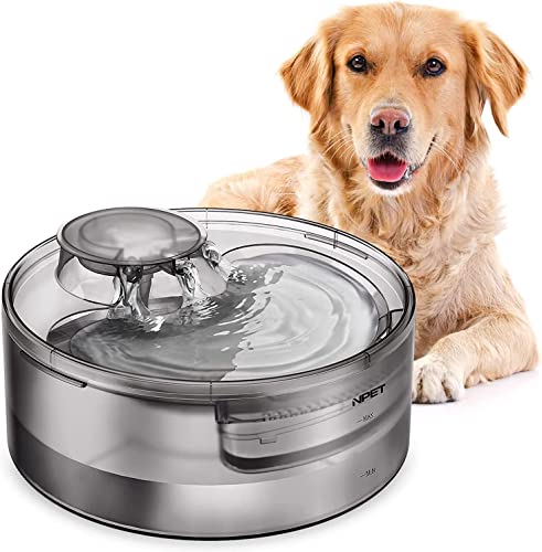 NPET Trinkbrunnen für Hunde und Katze, 5L Trinkbrunnen für Große Hunde mit Ultraleise Pumpe, Automatischer Wasserspender für Hunde, Katzen und Mehrere Haustiere, Hunde Wasserbrunnen mit 2 Filter DF10