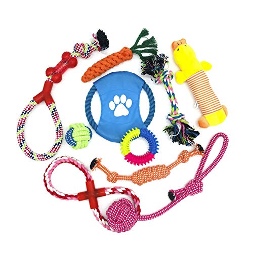 WeFine Hunde Kauspielzeug Zahntraining， 10 Stück Hundeseilspielzeug 100% natürliches Baumwollseil für kleine und mittlere Hunde