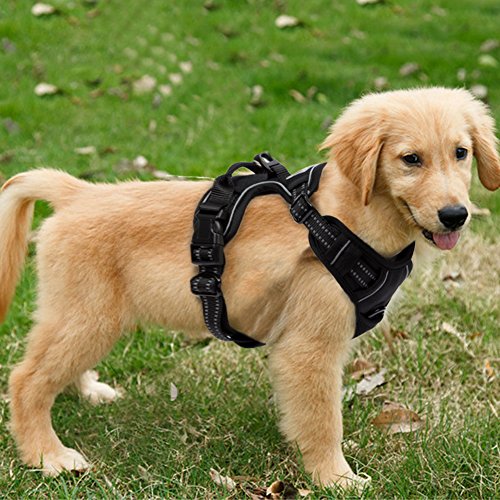 FullBerg® Hundegeschirr für Kleine, mittelgroße und große Hunde Anti Zug Geschirr No Pull Sicherheitsgeschirr Brustgeschirr Dog Harness Weich Gepolstert verstellbar Atmungsaktiv Schwarz (S)