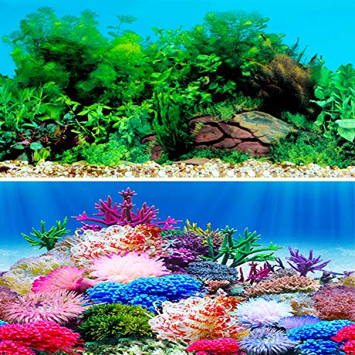 IrisCargo Aufkleber für Aquarien, Aquarium-Hintergrund, Unterwasser-Poster, Aquarium-Dekoration, G-62 x 40 cm